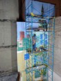 /album/muros/a12313591-10206939117549653-2110316334256179708-n-jpg2/